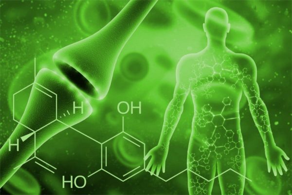 metta cannabidiol cbd